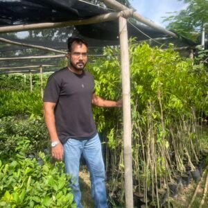 AGARWOOD PLANTS