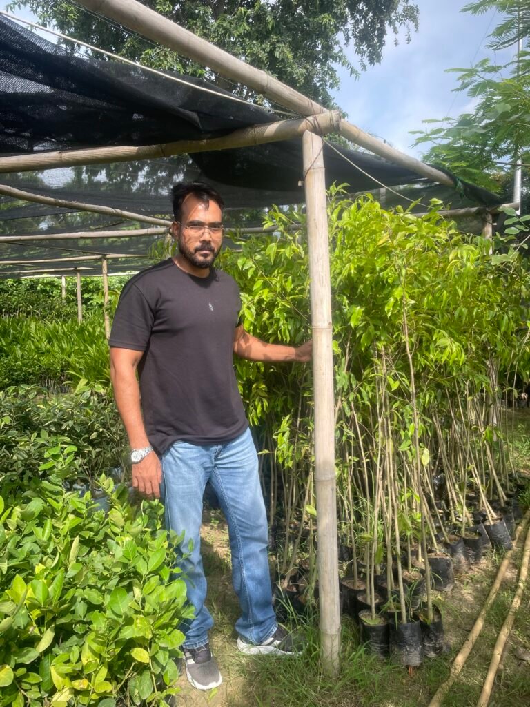 AGARWOOD PLANTS